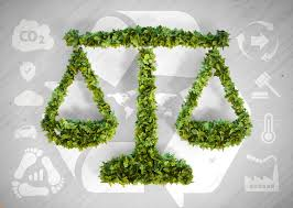 Environmental Law: Protecting the Planet Through Legal Measures