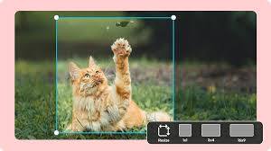 Effectiveness Of The Smart Cropping Feature Of A Help Authoring Tool