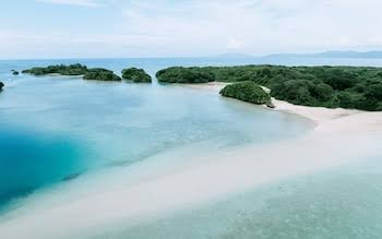 Mastering the Tropical Allure of Ishigaki Island