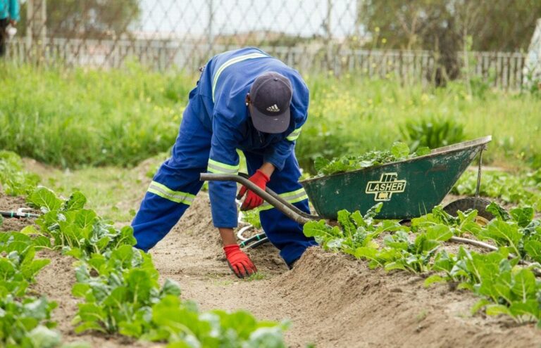 Sustainability in Farm Management: A Minimalist Approach