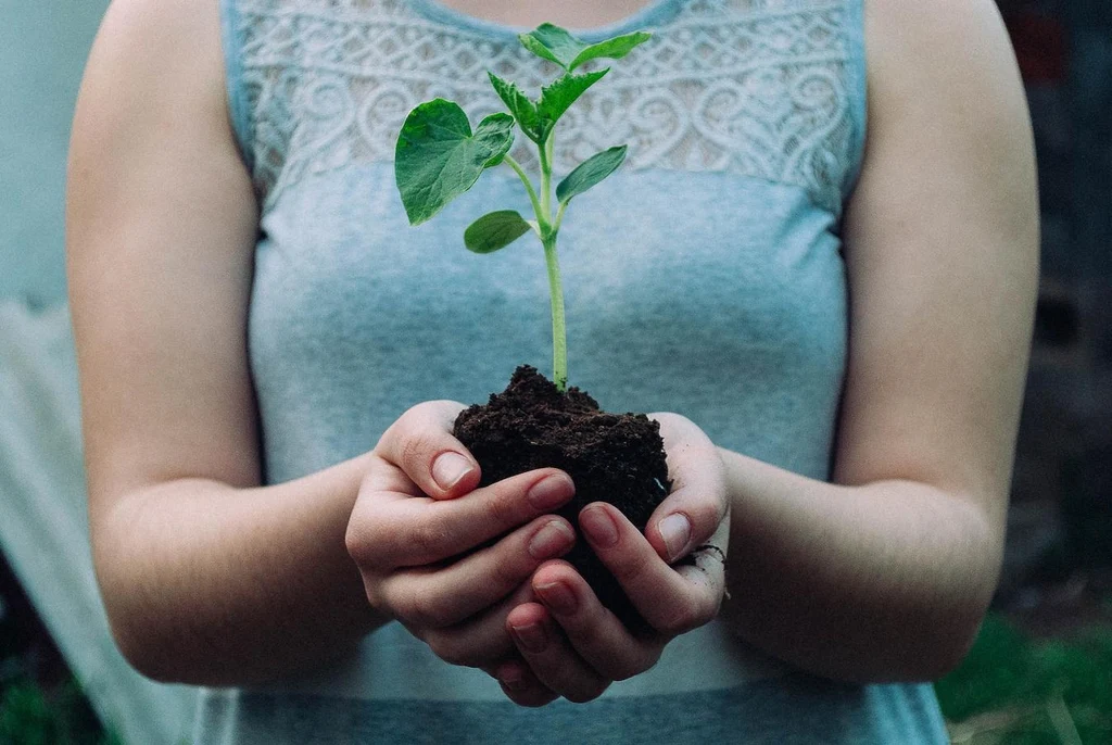 7 Reasons You Should Plant a Tree