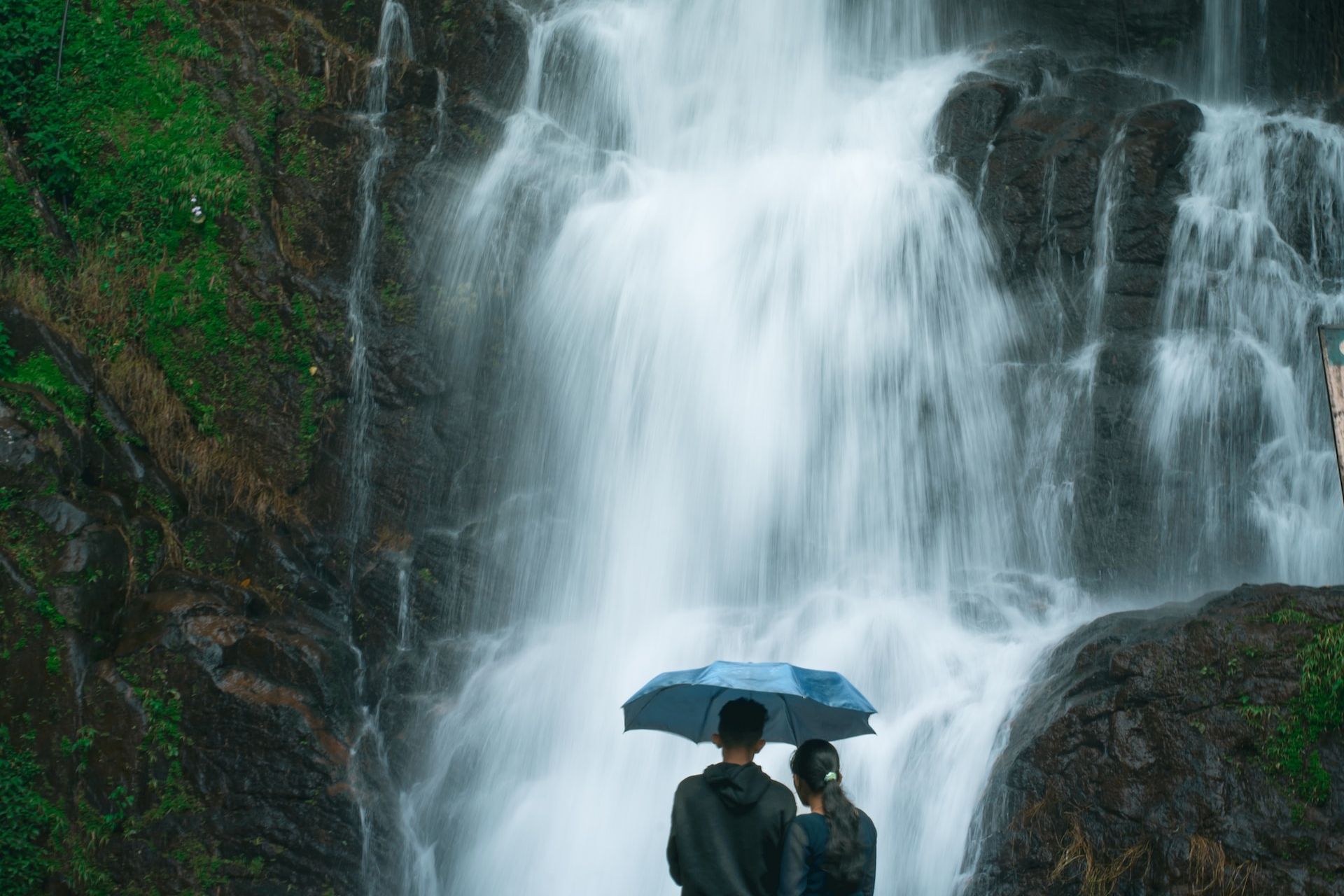 Discover the Beauty of Kerala A Complete Guide for International Travellers