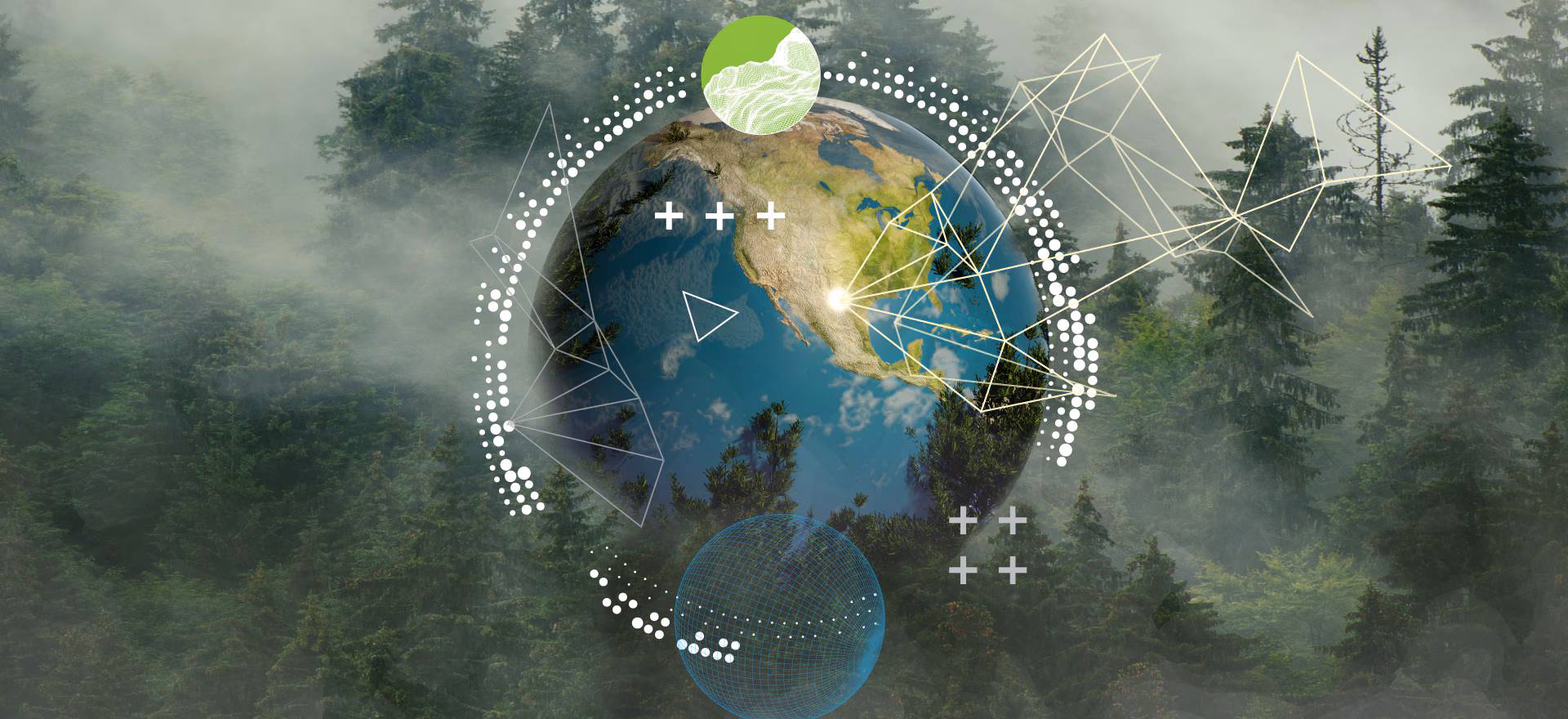 Using Earth Observation Data for Business